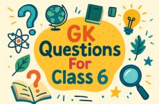 GK Questions For Class 6 image