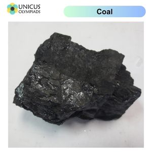 Coal
