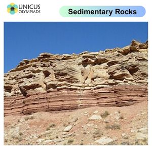 Sedimentary Rocks