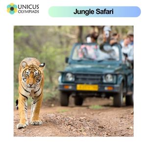 Jungle Safari
