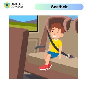Seatbelt