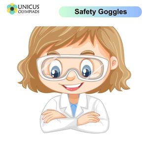 Safety Goggles