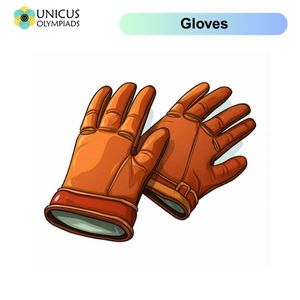 Gloves