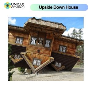 Upside Down House