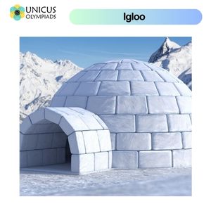 Igloo