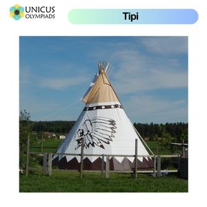 Tipi