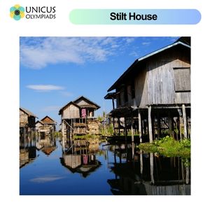 Stilt House