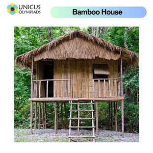 Bamboo House