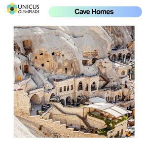 Cave Homes