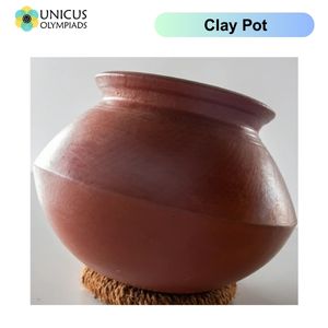 Clay Pot