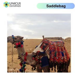 Saddlebag