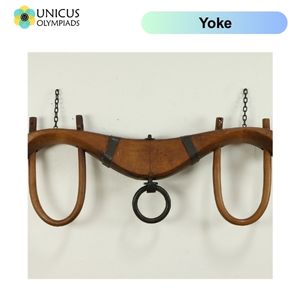Yoke