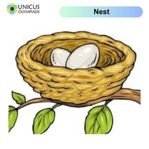 Nests