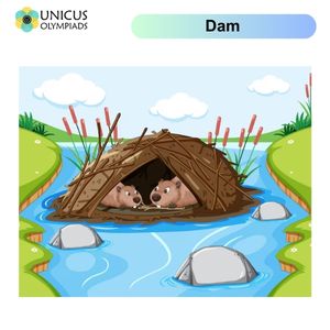 Dams