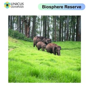 Biosphere