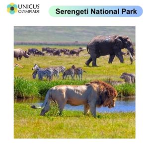 Serengeti National Park