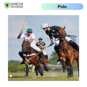 polo
