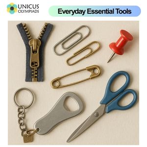 Daily Tools