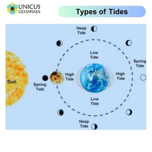 Types of Tides