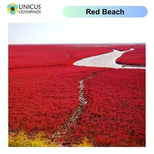 Red Beach