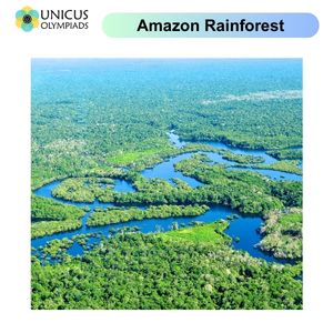 Amazon Rainforest