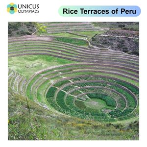 Rice Terraces of Peru