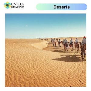 Deserts
