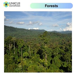 Forests