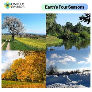 Four Seasons