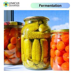 Fermentation