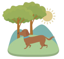 The dog ran around the yard.