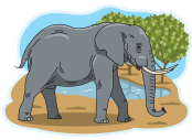 The elephant is big.