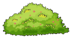 bush