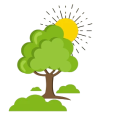 The tree and sun were shining brightly.