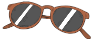 sunglass