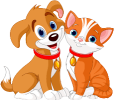 The cat's friend is the dog.