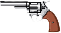 Gun