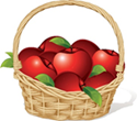 The apples are kept in the basket.