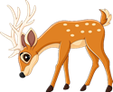 deer