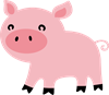 pig
