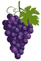 Bunch - Grapes