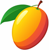 mango - mangoes