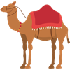 camel