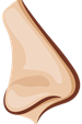 nose