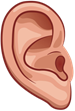 ear
