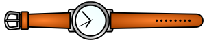 Option c