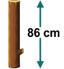 Option b