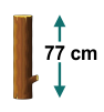 Option c