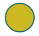 Option c
