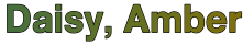 Option a
